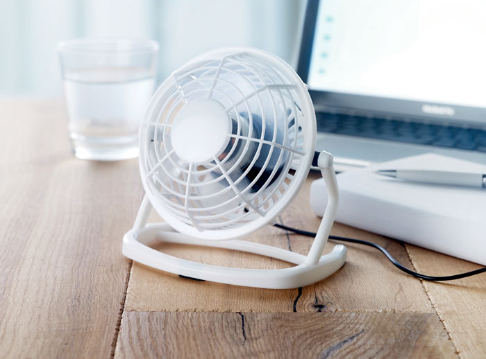 Fans image