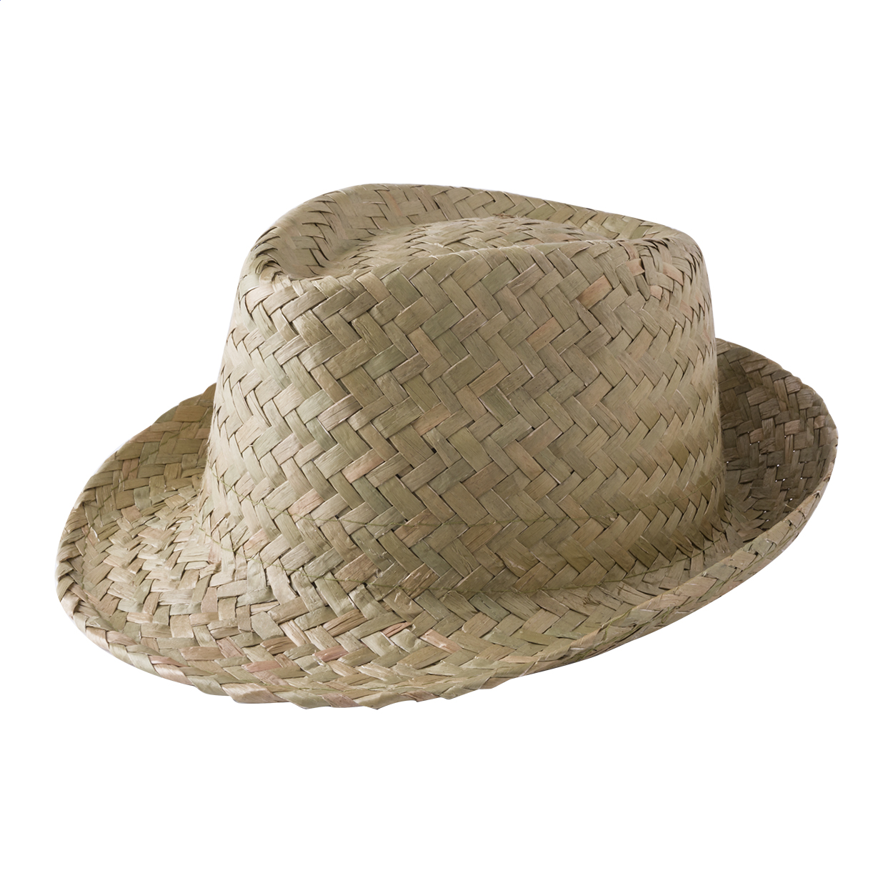 Palm Leaf Elegance - Kingham