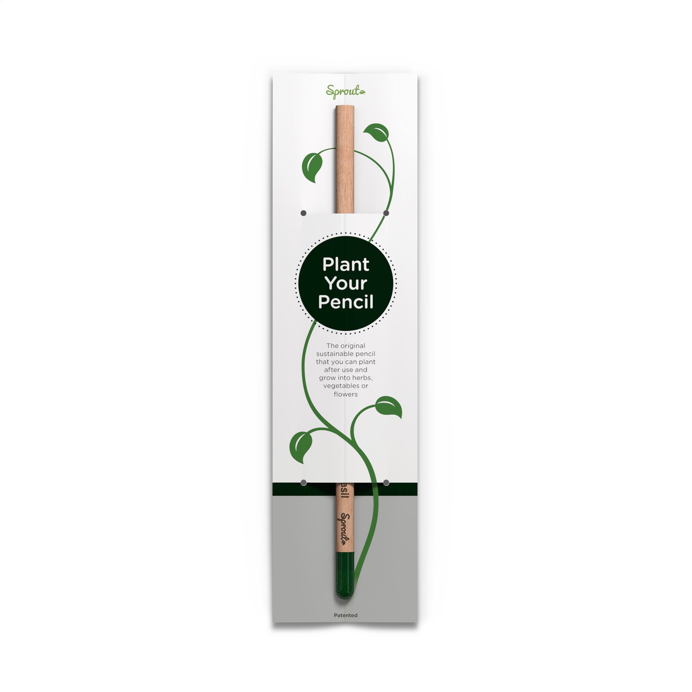 Cardboard Pencil Holder Card - Canford Cliffs