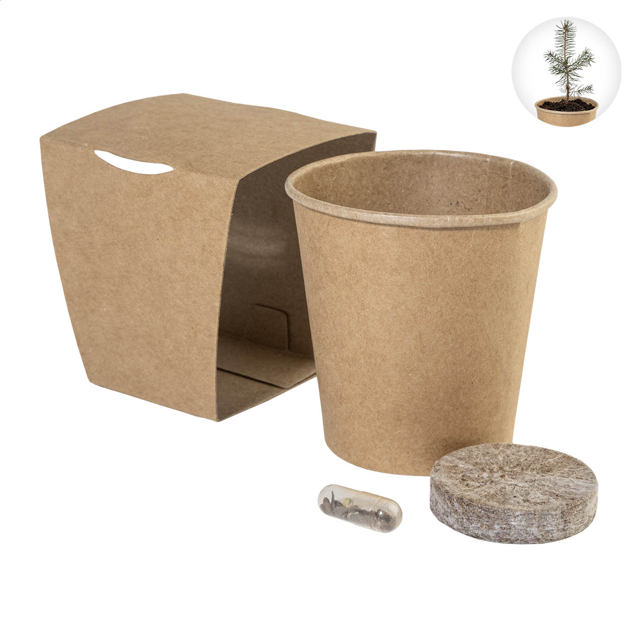 Kit de cultivo de árbol de Navidad MerryGrow en funda kraft con logo