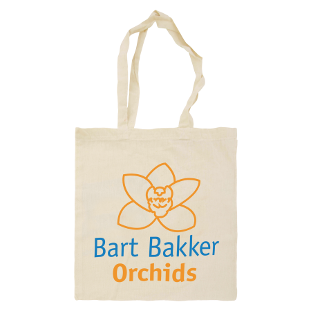 Natural Heavy Quality Cotton Bag with Long Handles - Whitehaven