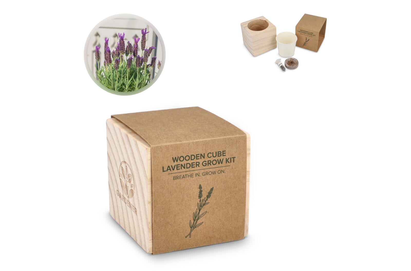 Lavendelblütenkasten-Set aus FSC-Holz - Landstuhl