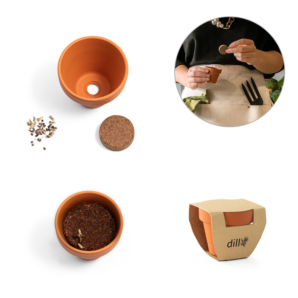 Clay Pot Seed Starter Kit - Ansty - Goring-by-Sea