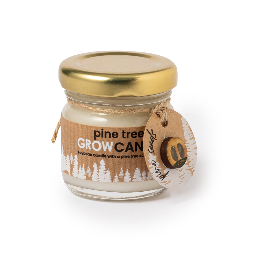 This is an eco-friendly candle made from pine seeds. The product is named 'Auldearn'. - Long Preston