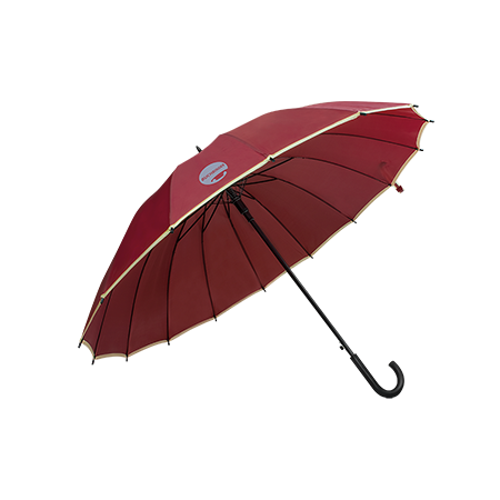 Automatic umbrella with 16 ribs, featuring a wooden shaft and grip - Bowdon