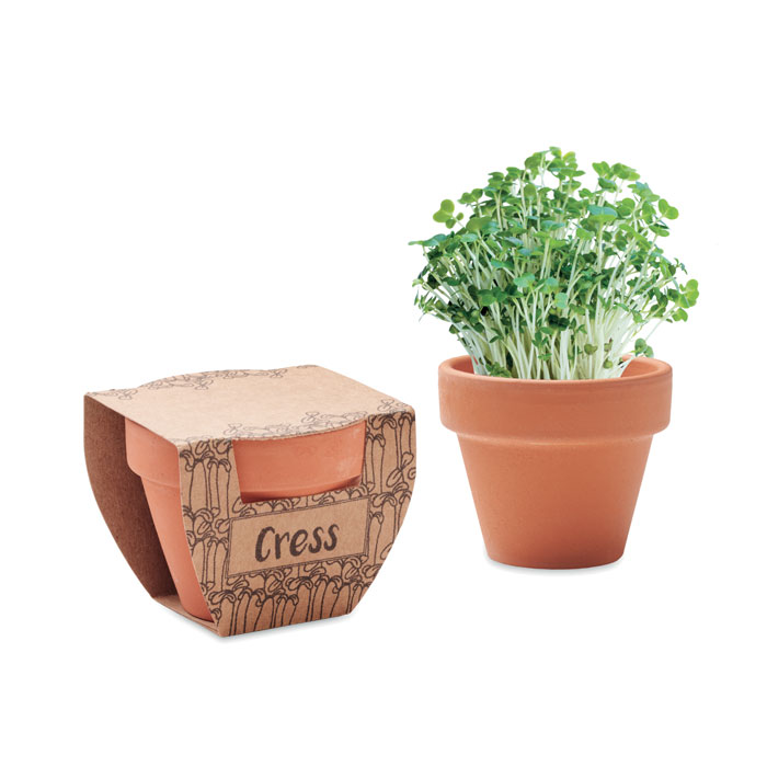 Terracotta pot cress seeds - Liverpool Airport