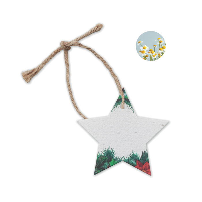 Wildflower Seed Paper Christmas Ornament - Devizes