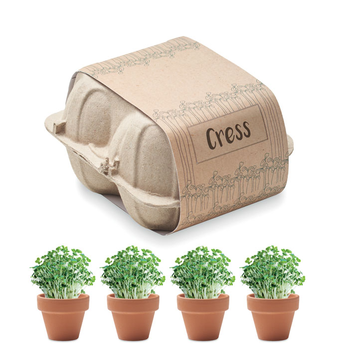 Terracotta Egg Carton Seed Starter Set - Churchill - Barham Down