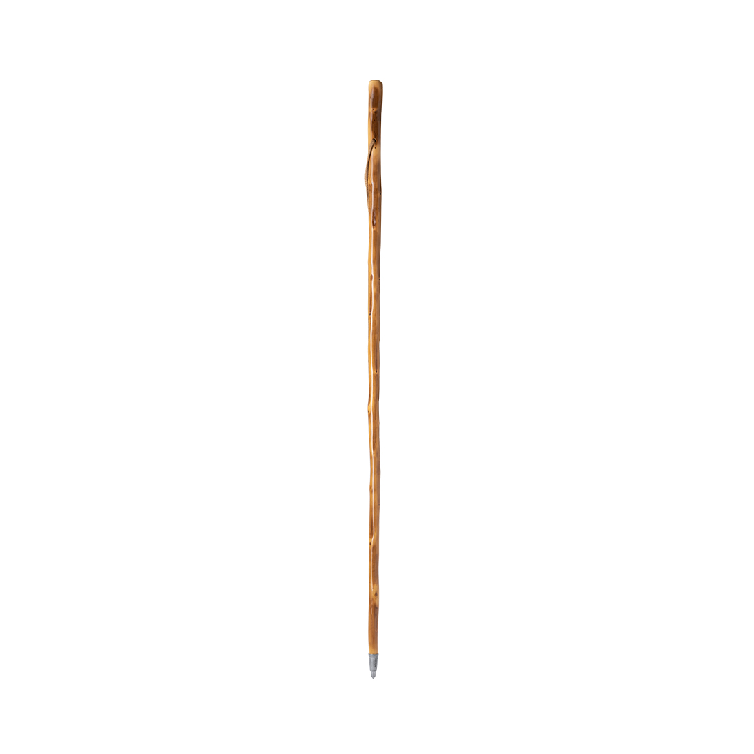 European Wood Walking Stick - Bloxwich