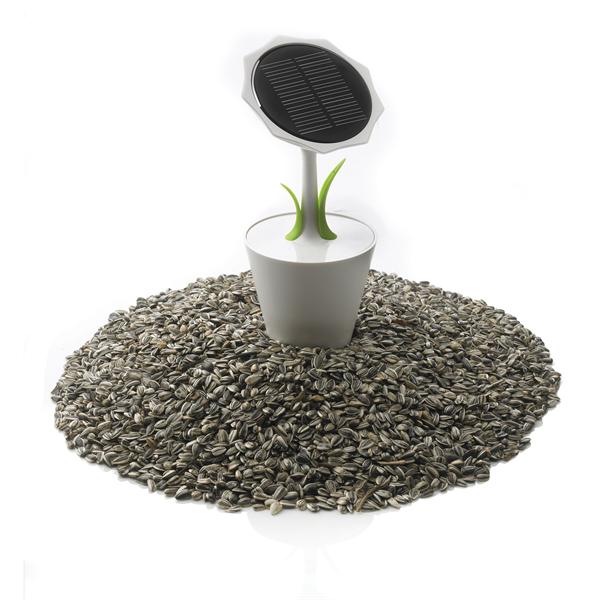Sunflower Solar Charger - Grange-over-Sands