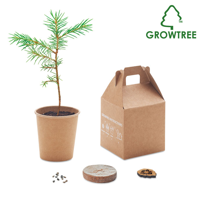 Pine Seed Planting Kit - Eversley