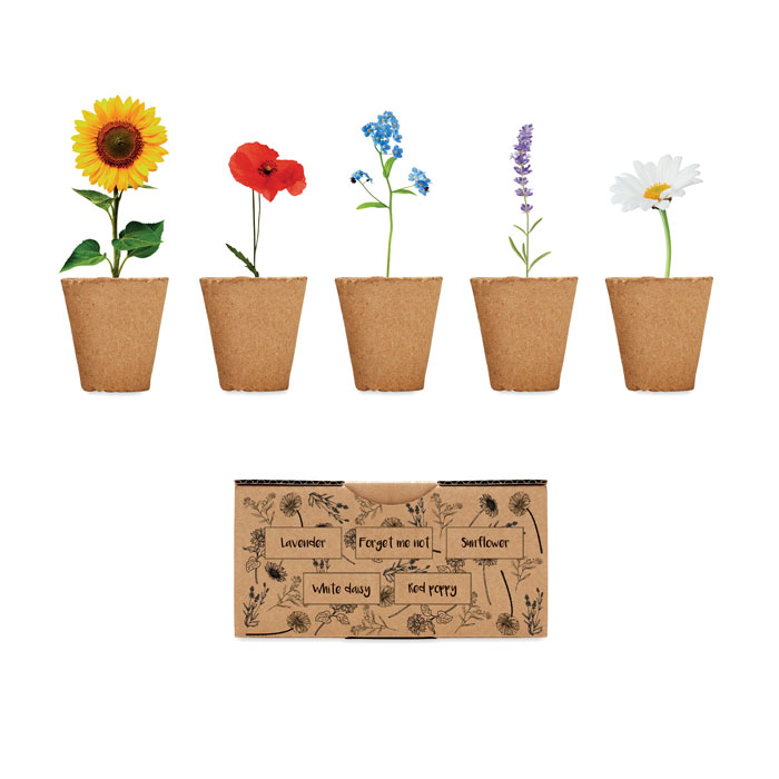 Flower Seed Growing Kit with Soil Tablet Made in EU - Kirby Mallory