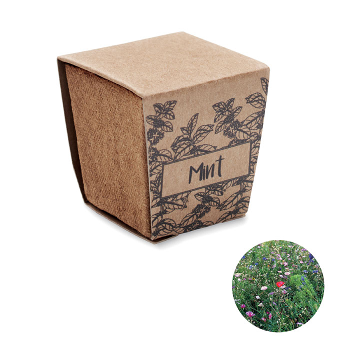 Mint Herb Starter Kit - Kettering