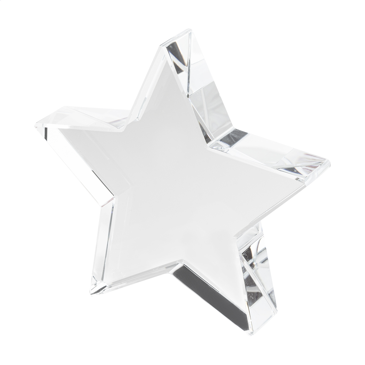 Star of Excellence Trophy - Egerton
