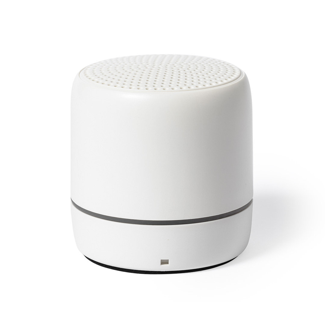 EcoSound Speaker - Swindon - Acomb
