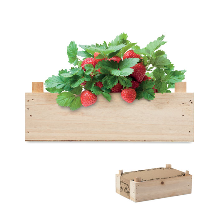 Personalisiertes Kistchen mit Erdbeersamen - Ichigo