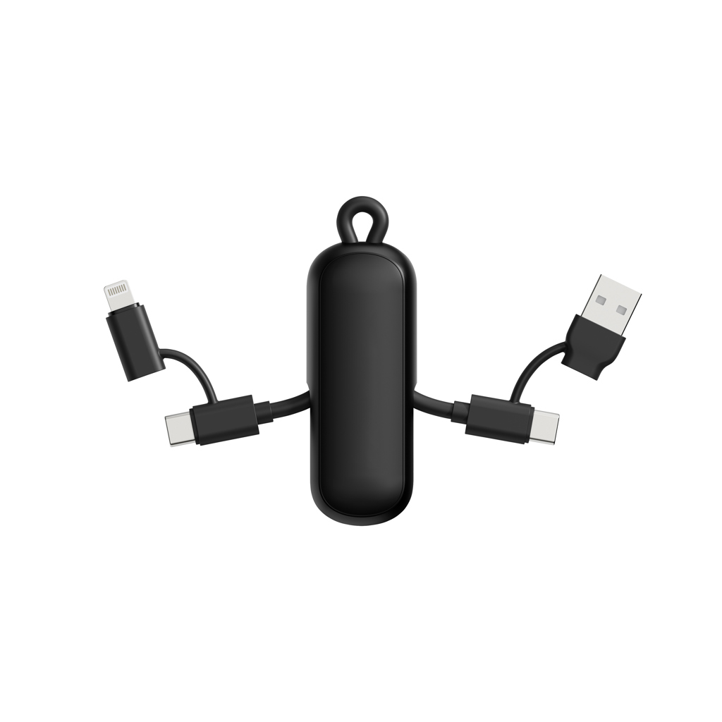 Urban Vitamin Dublin 100W 4-in-1 keychain cable
