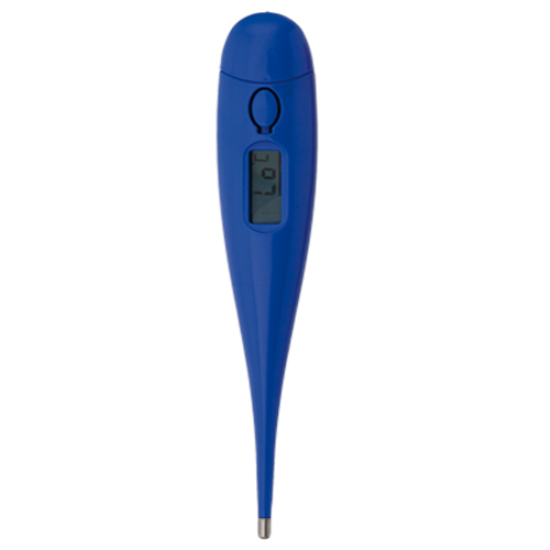 Digitaler Thermometer Kelvin - Zell im Wiesental