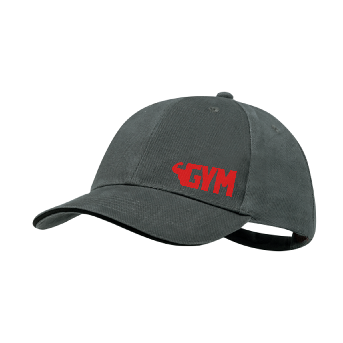 Robust 6-Panel Hat - Piddletrenthide - Hamilton