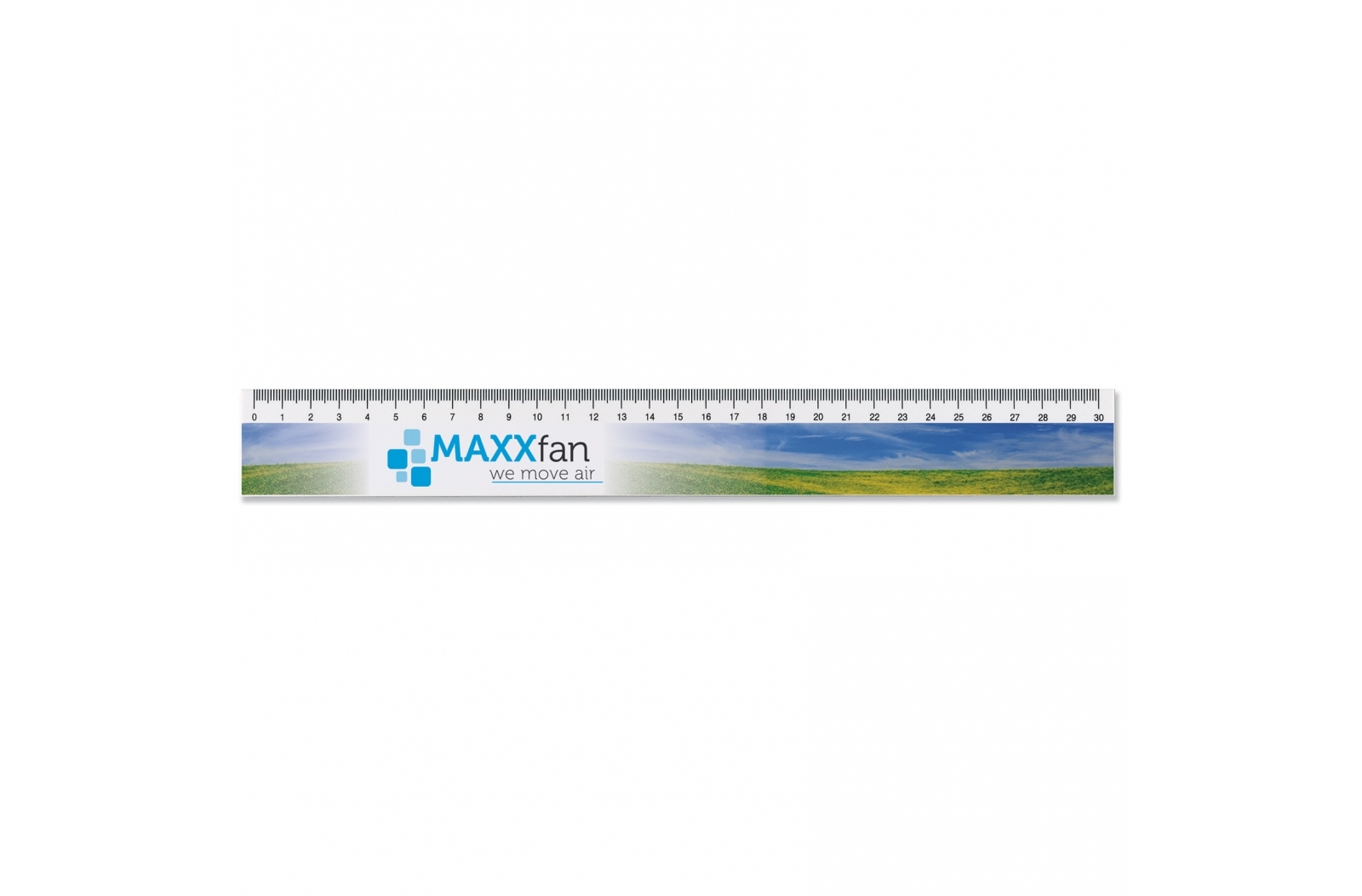 White Synthetic 30cm Ruler - Duckinfield
