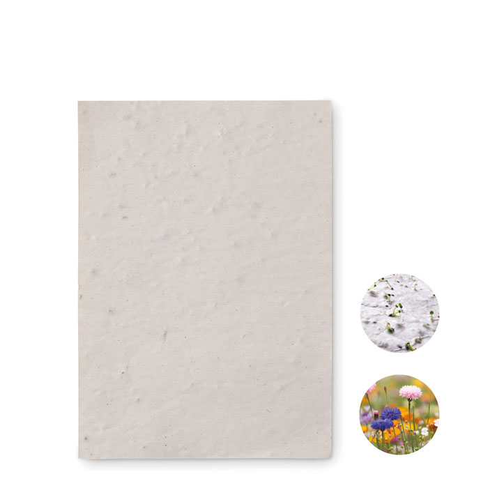 EcoSeeds Paper - Appledore - Fleetwood
