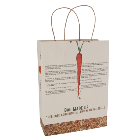 Eco-Friendly Agricultural Waste Paper Bag - Ilkley