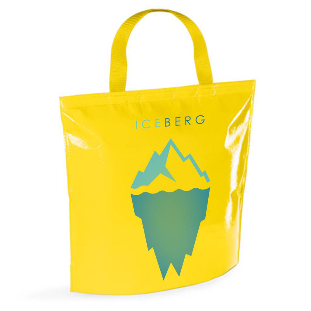 Laminated Non-Woven Cooler Bag - Dundee