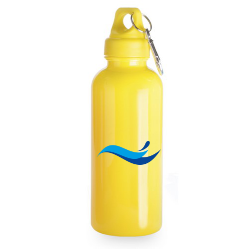 600ml Translucent Water Bottle with Carabiner - Ilminster