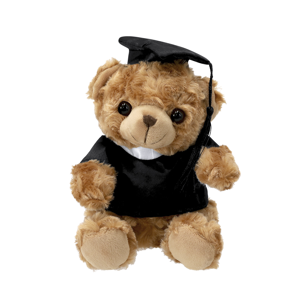 Graduation Bear - Appleton