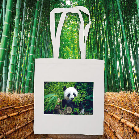 Bambus ECO Tasche mit langen Griffen - Biedenkopf 