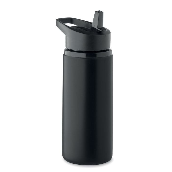 EcoCarry Stainless Steel Bottle 500 ml - Kinver