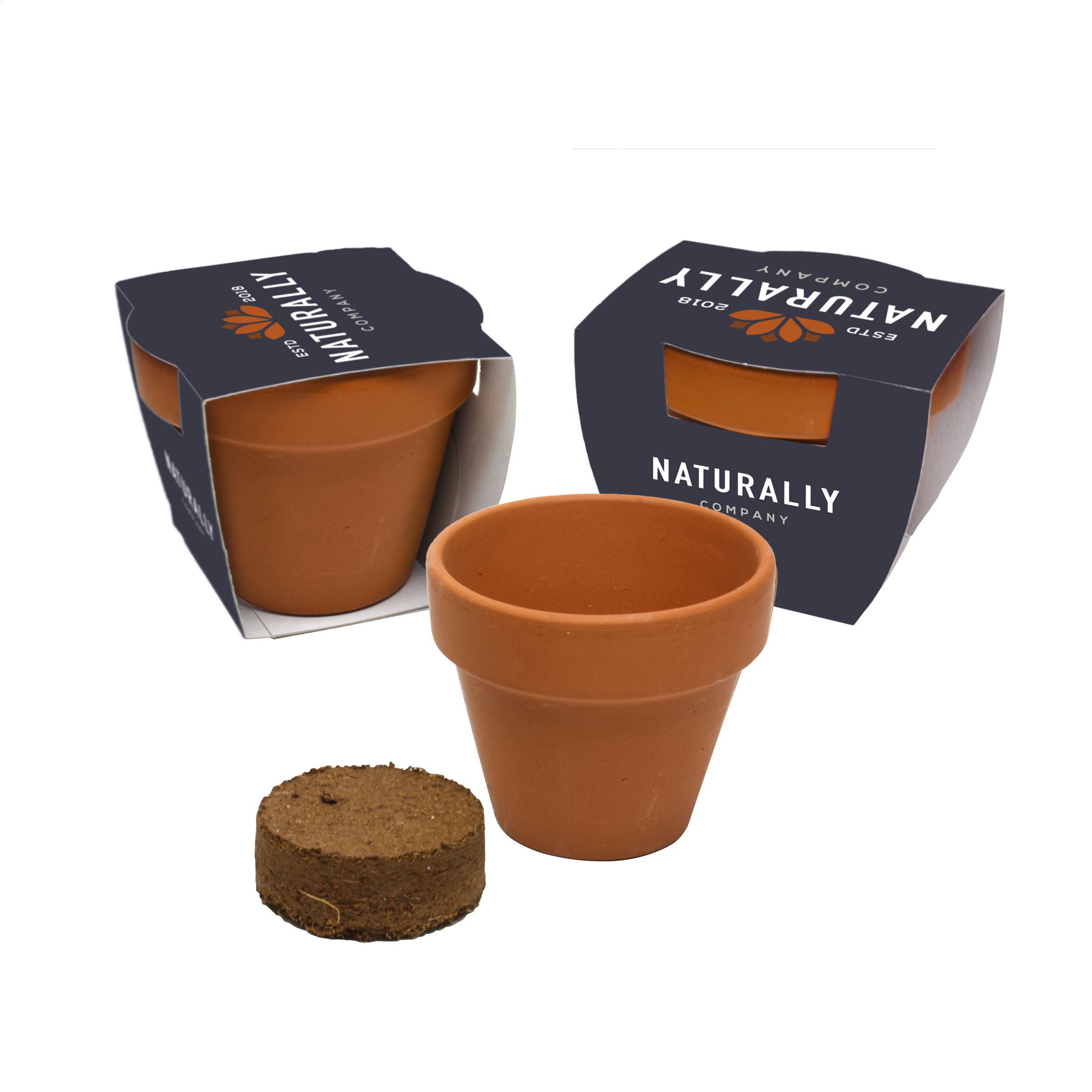 Bee-Friendly Pot Set - Barton-Upon-Humber - Littleton