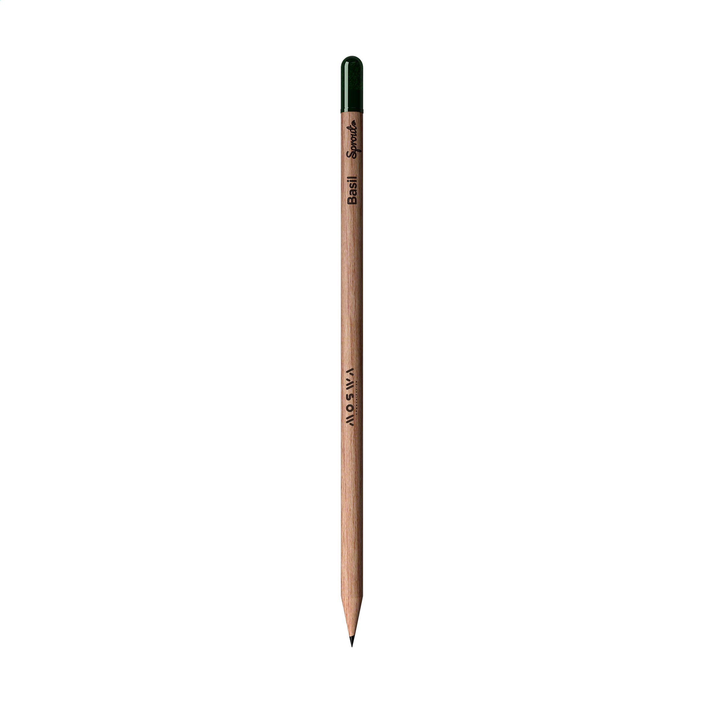 A sustainable pencil from Sproutworld that comes with seeds. - Criccieth