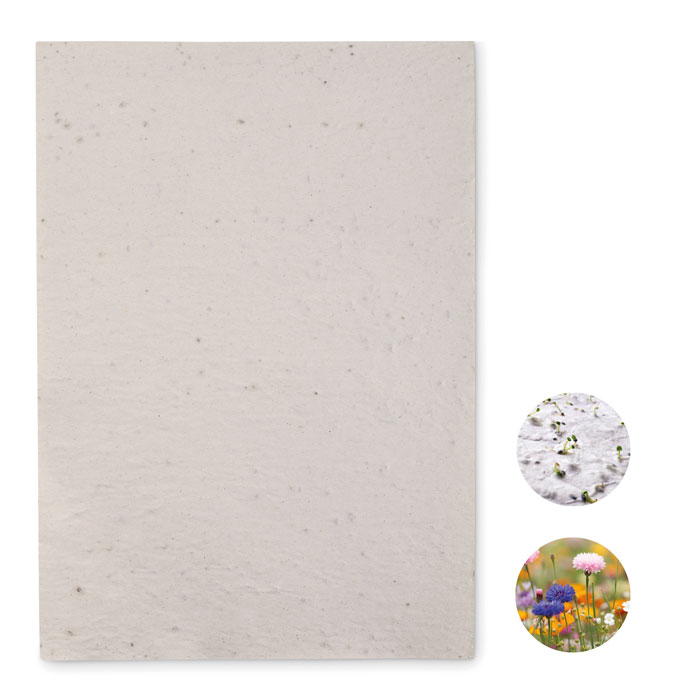 EcoGrow A4 Wildflower Seed Paper - Oxford - Llanidloes