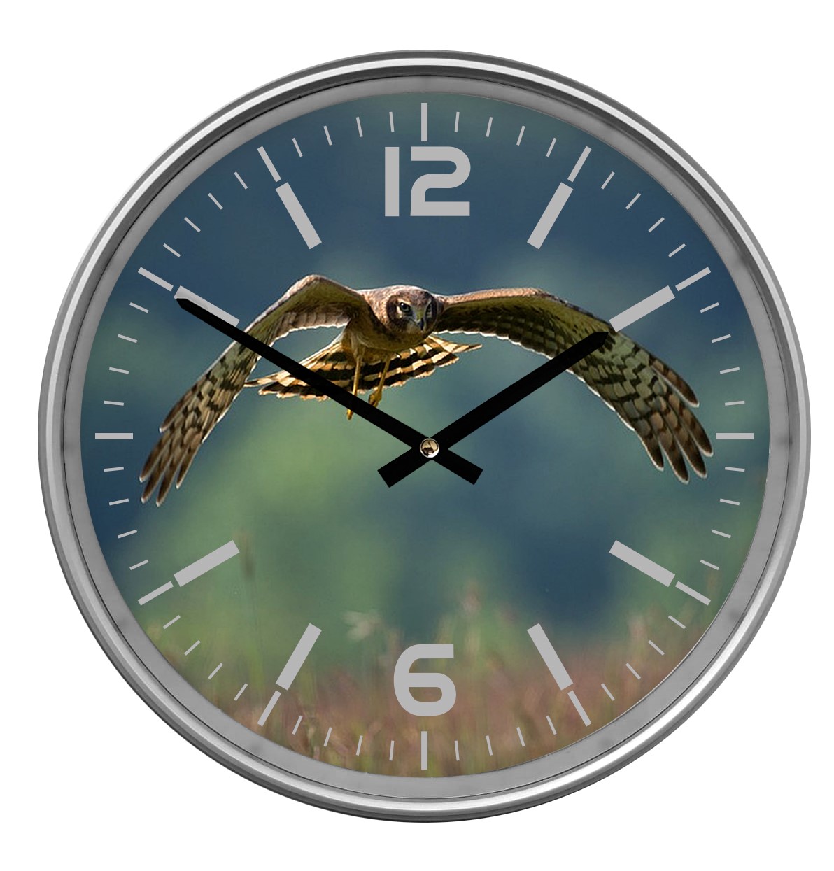 SILVER EDGE (33 cm) - Droitwich Spa