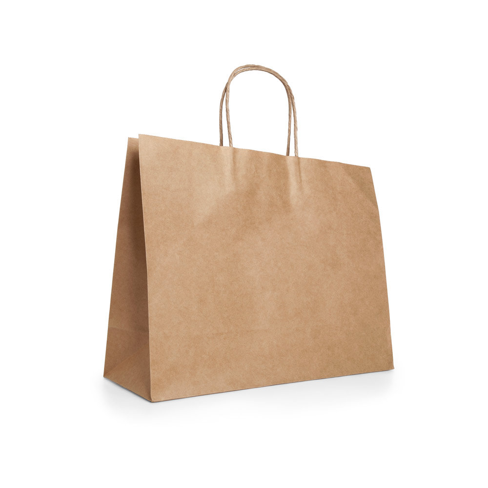 Kraft Paper Bag with Twisted Handles - Swinford - Dodington