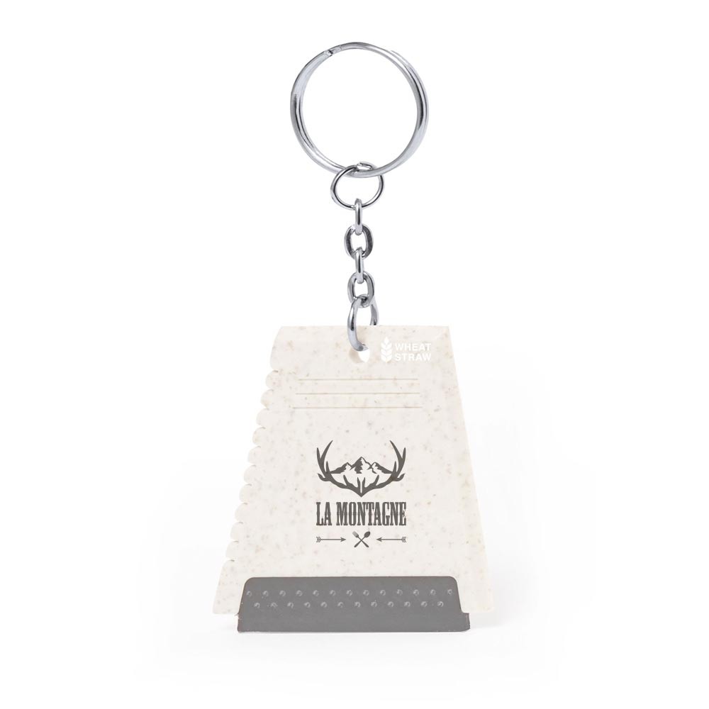 Eco Ice Key Companion - Bridge of Allan