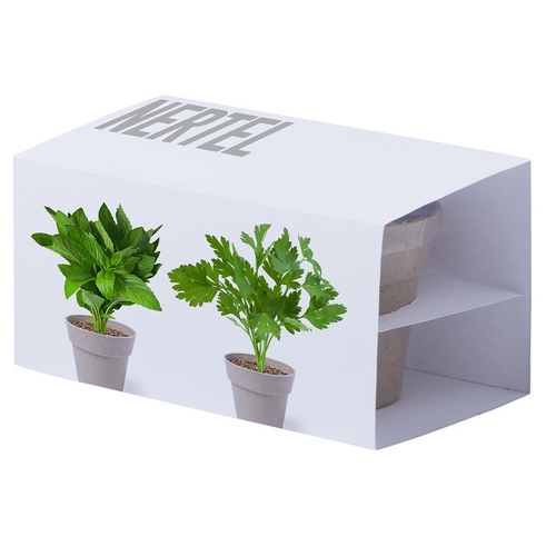 Peppermint & Parsley Herb Garden Duo - Kingussie