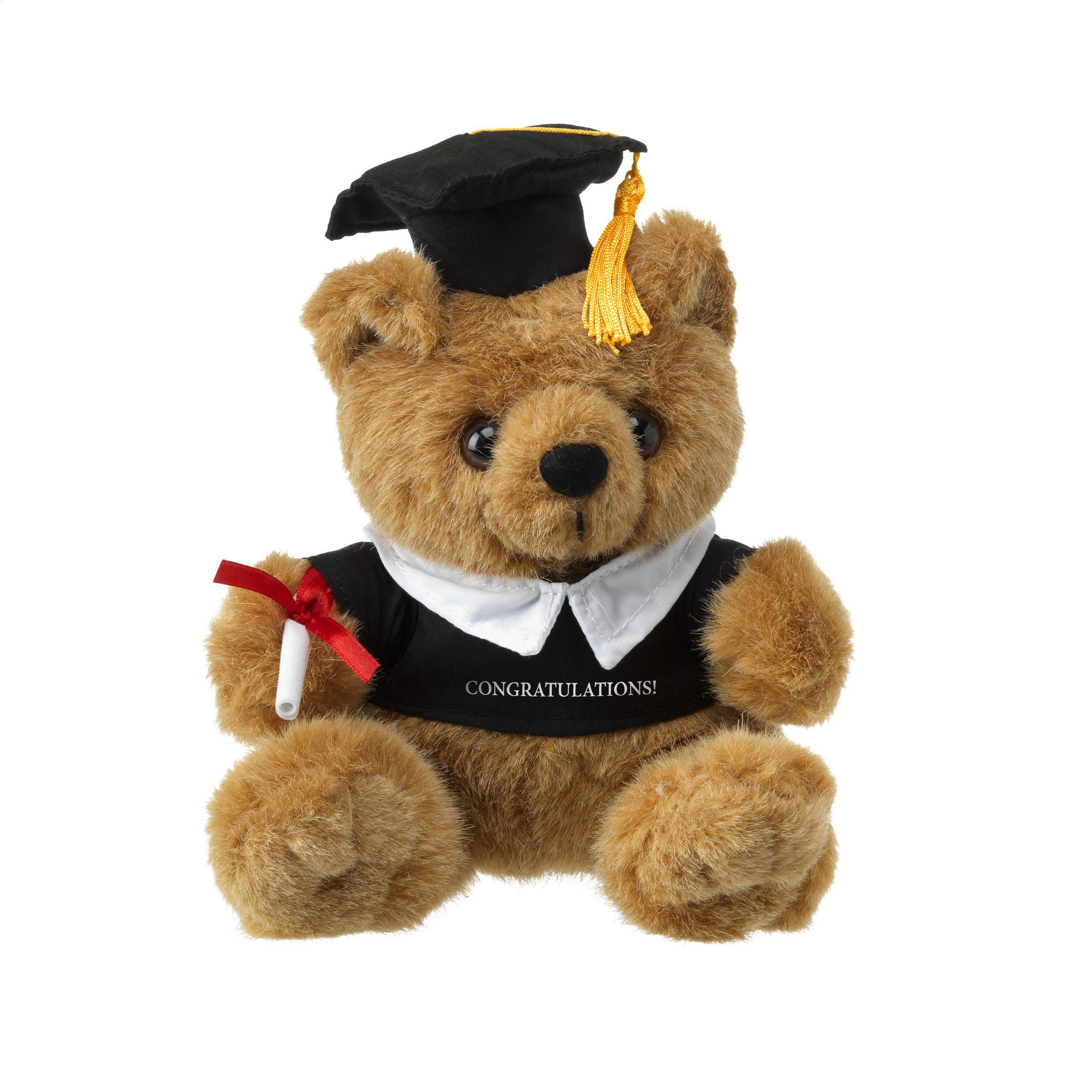 Professor teddy bear