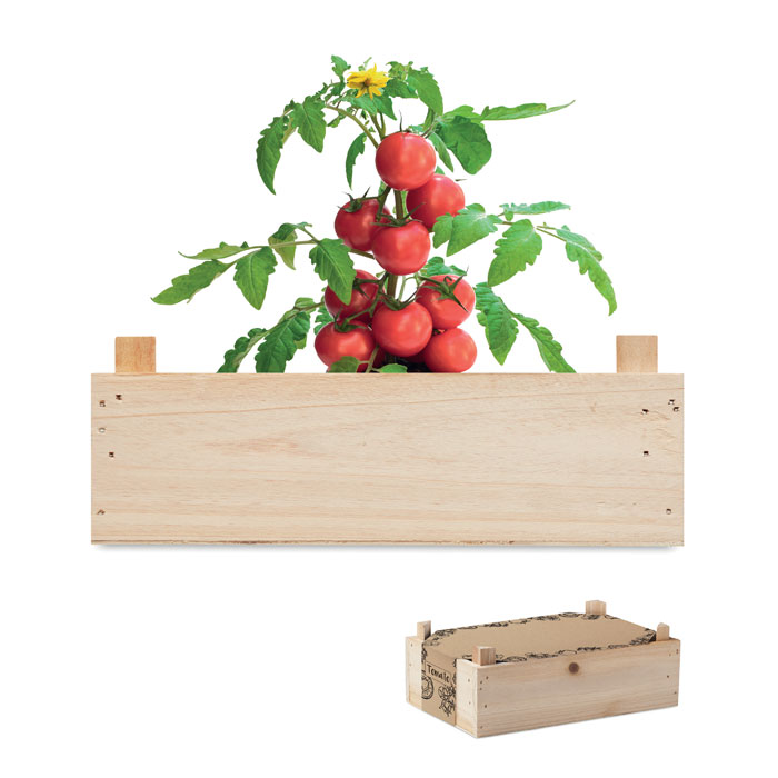 Tomato Growing Kit in a Wooden Crate Made in the EU - Halifax