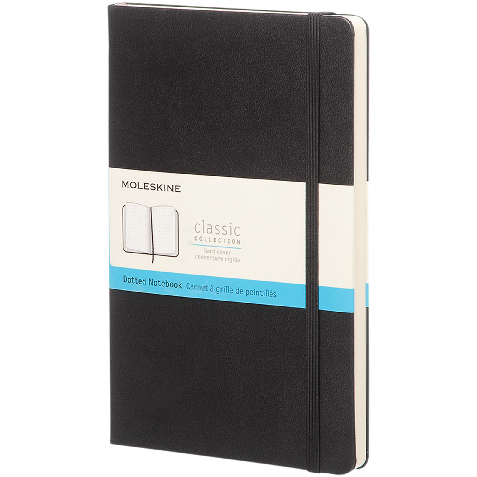 Moleskine Classic L hard cover notebook - stippled