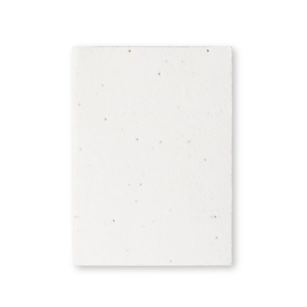 EcoSeed Notepad - Broughton - Lewes