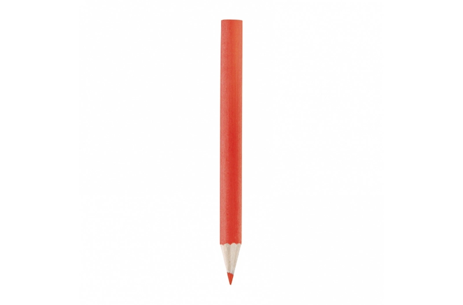 Election Voting Pencil - Allestree
