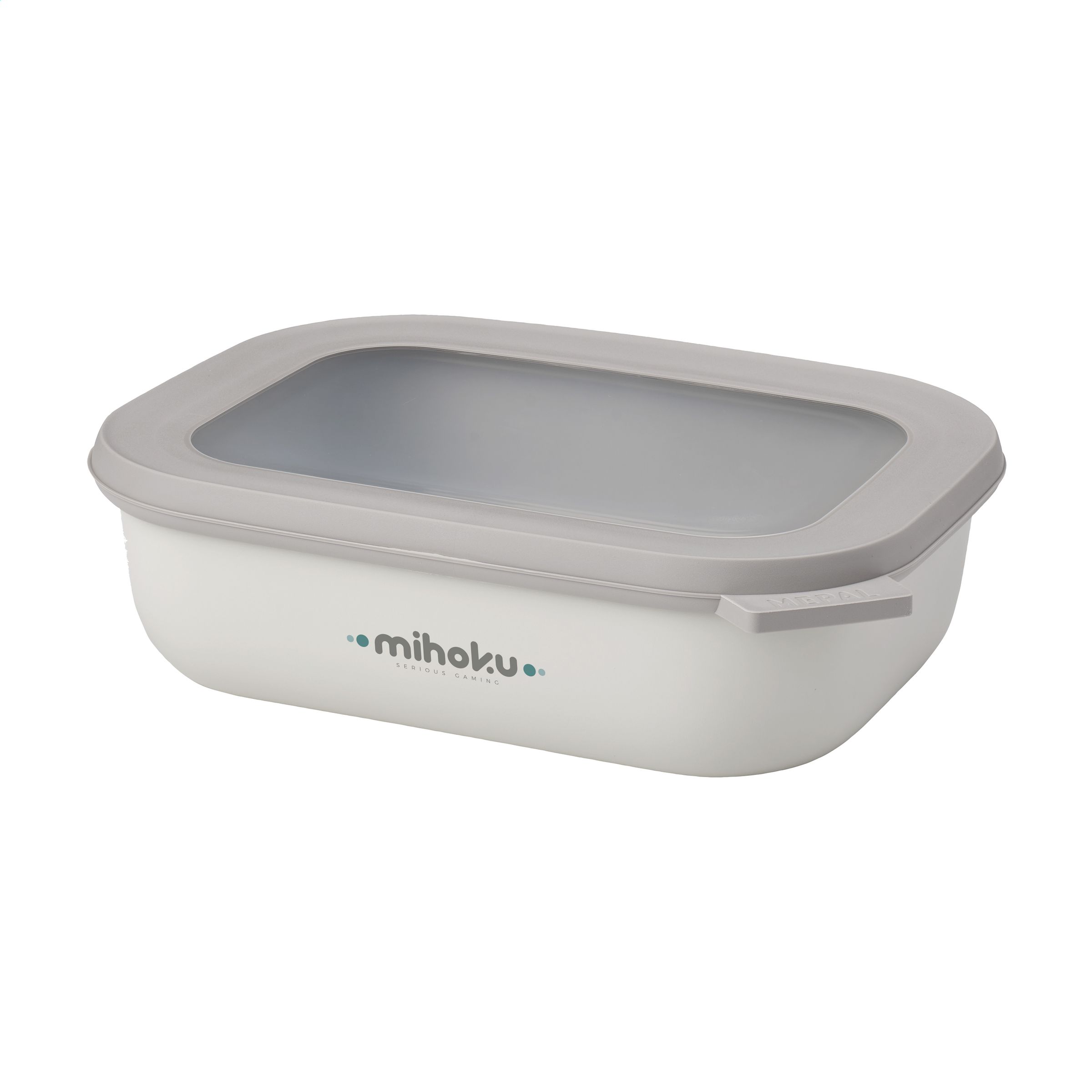 Durable Plastic Storing Box or Lunch Box with Lid - Eastleach