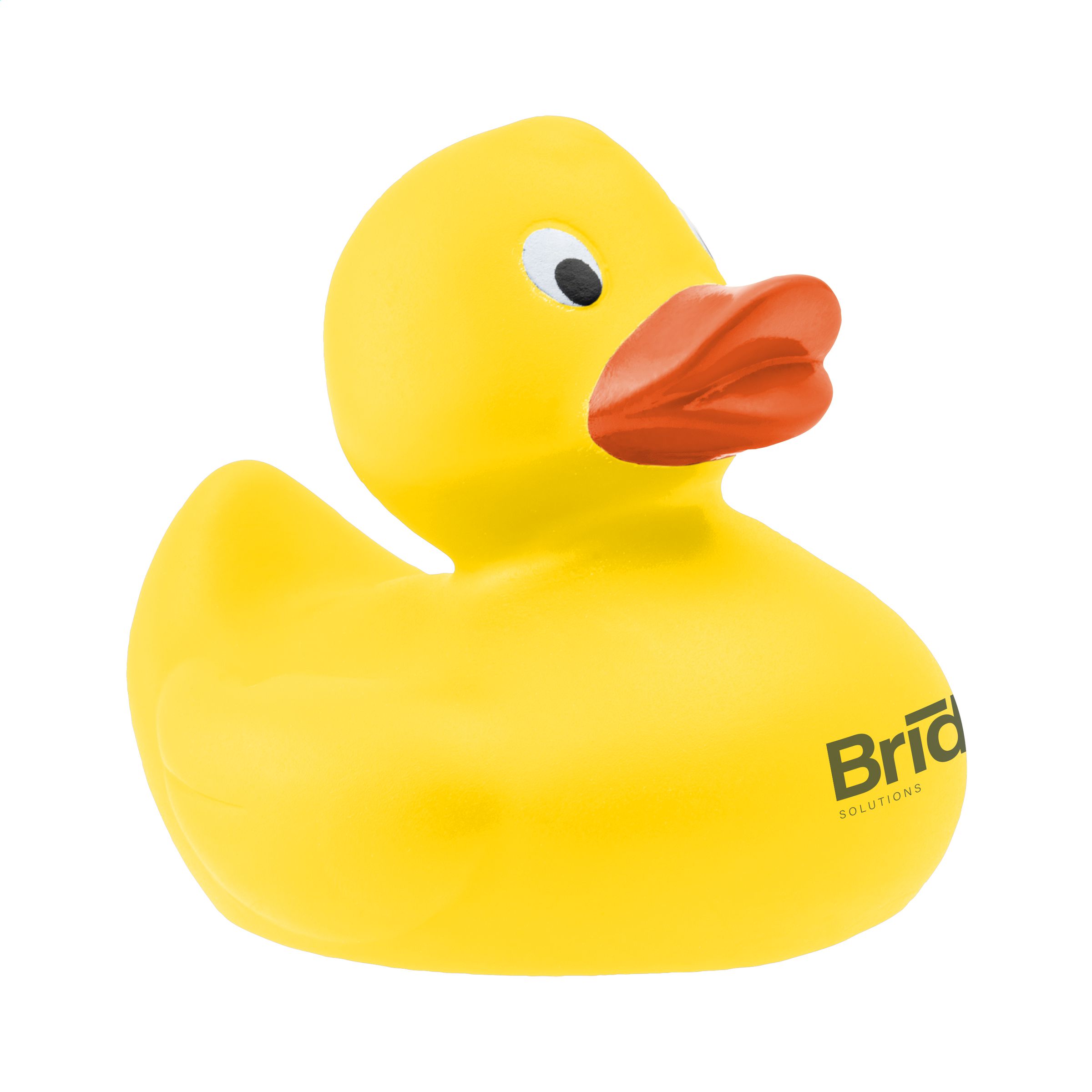 Plastic Duck - Holybourne
