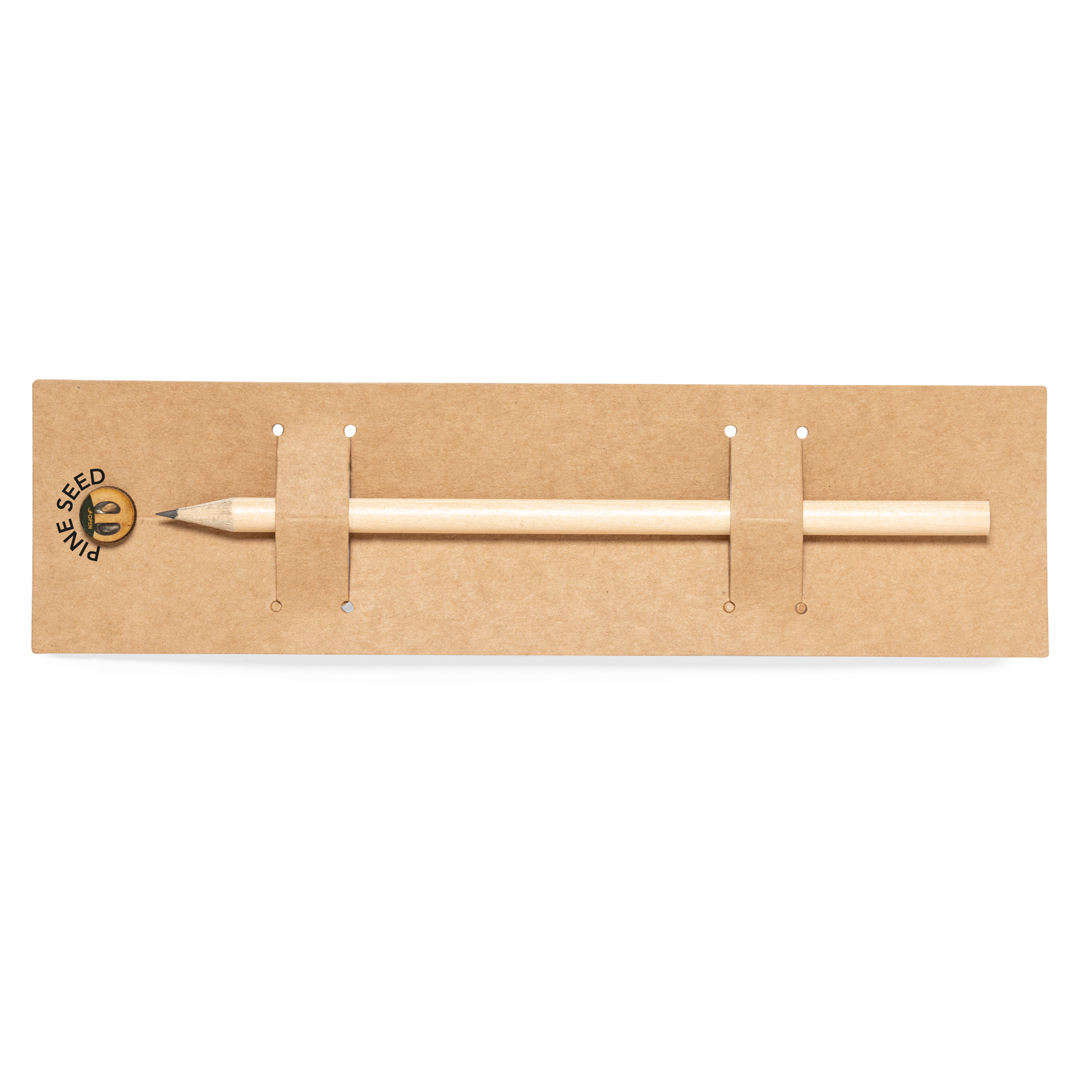 Etesio Pencil Seeds - Saffron Walden