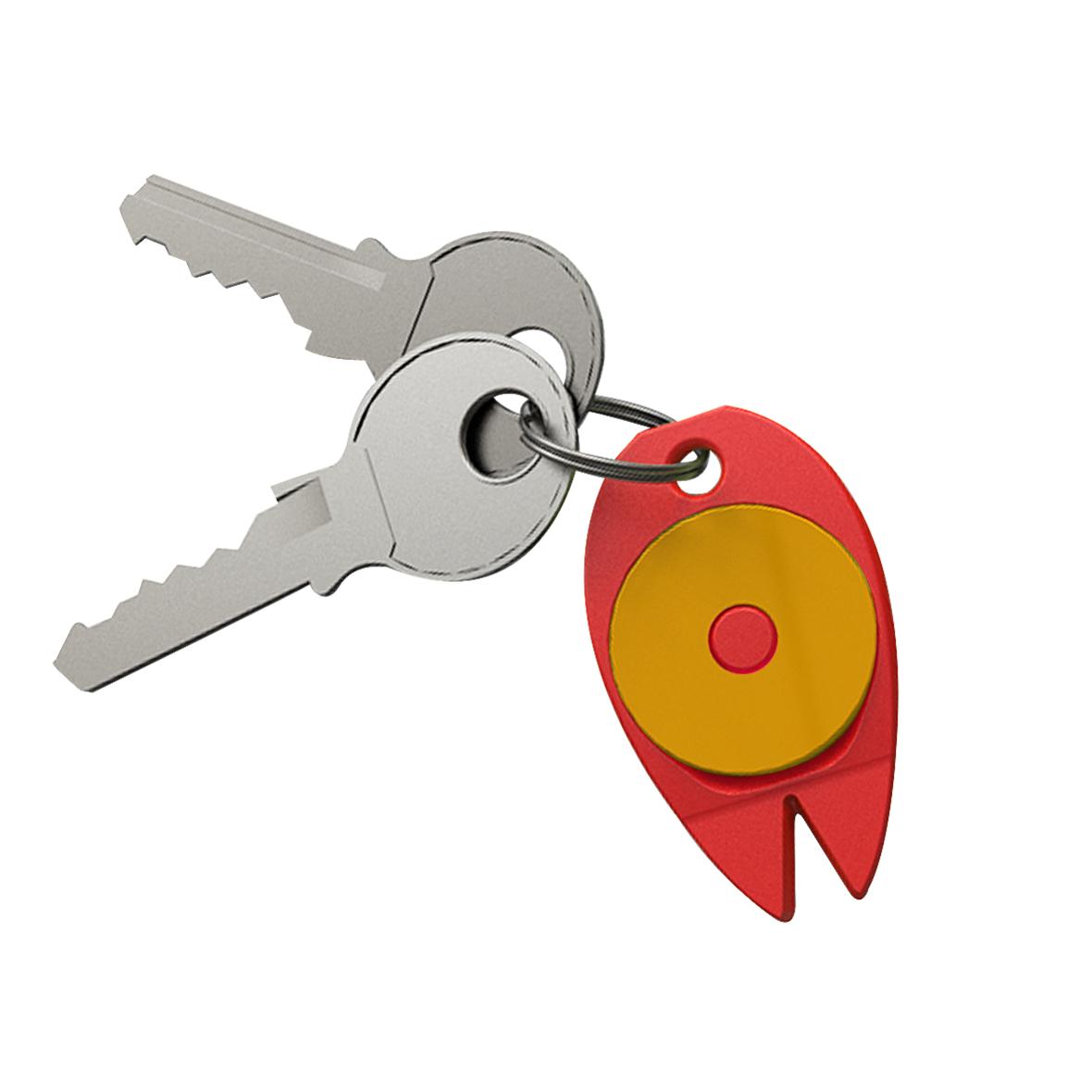 Pendant Key for Cart Tick Remover - Appleby Magna - Bakewell