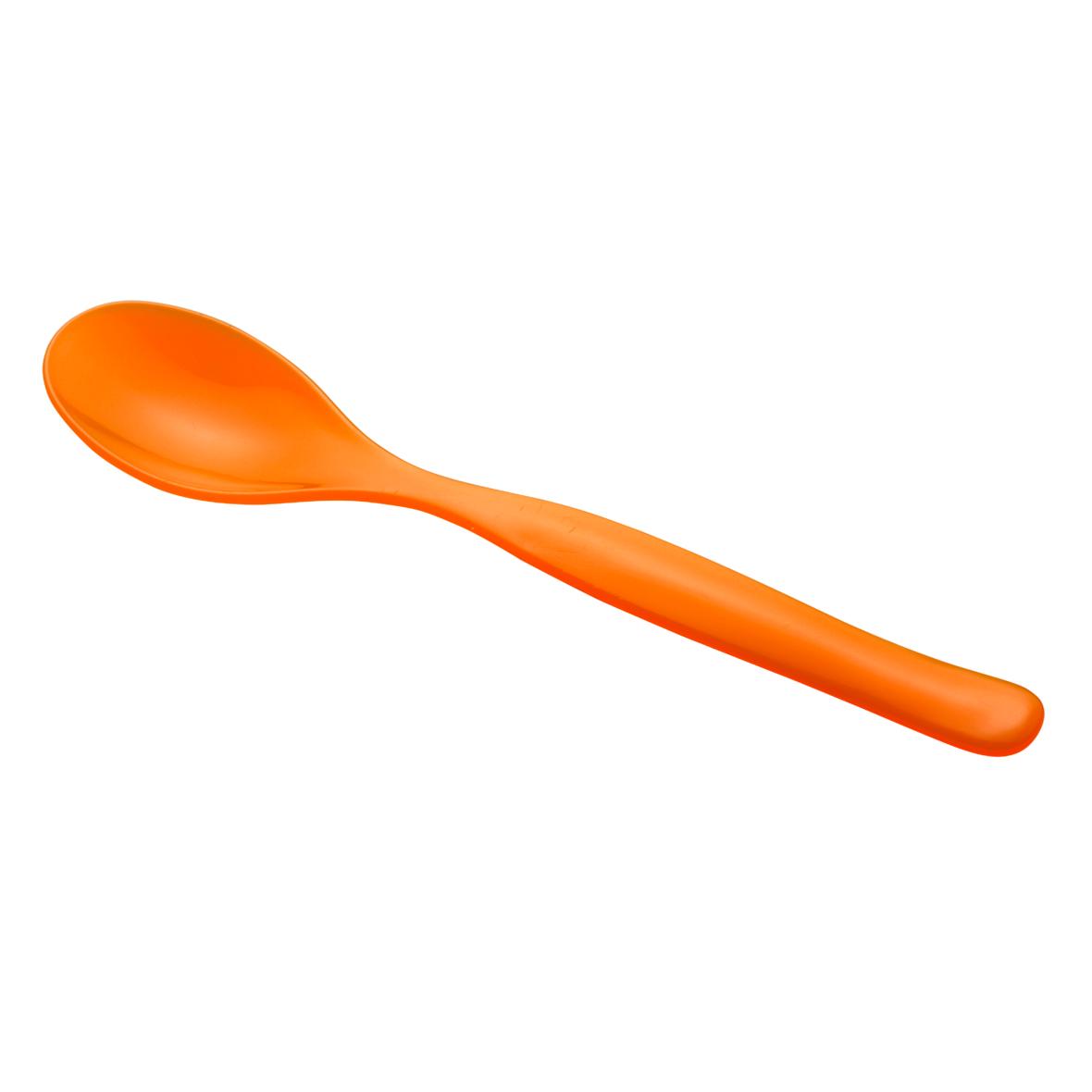 Plastic Spoon - Nether Wasdale - Charmouth