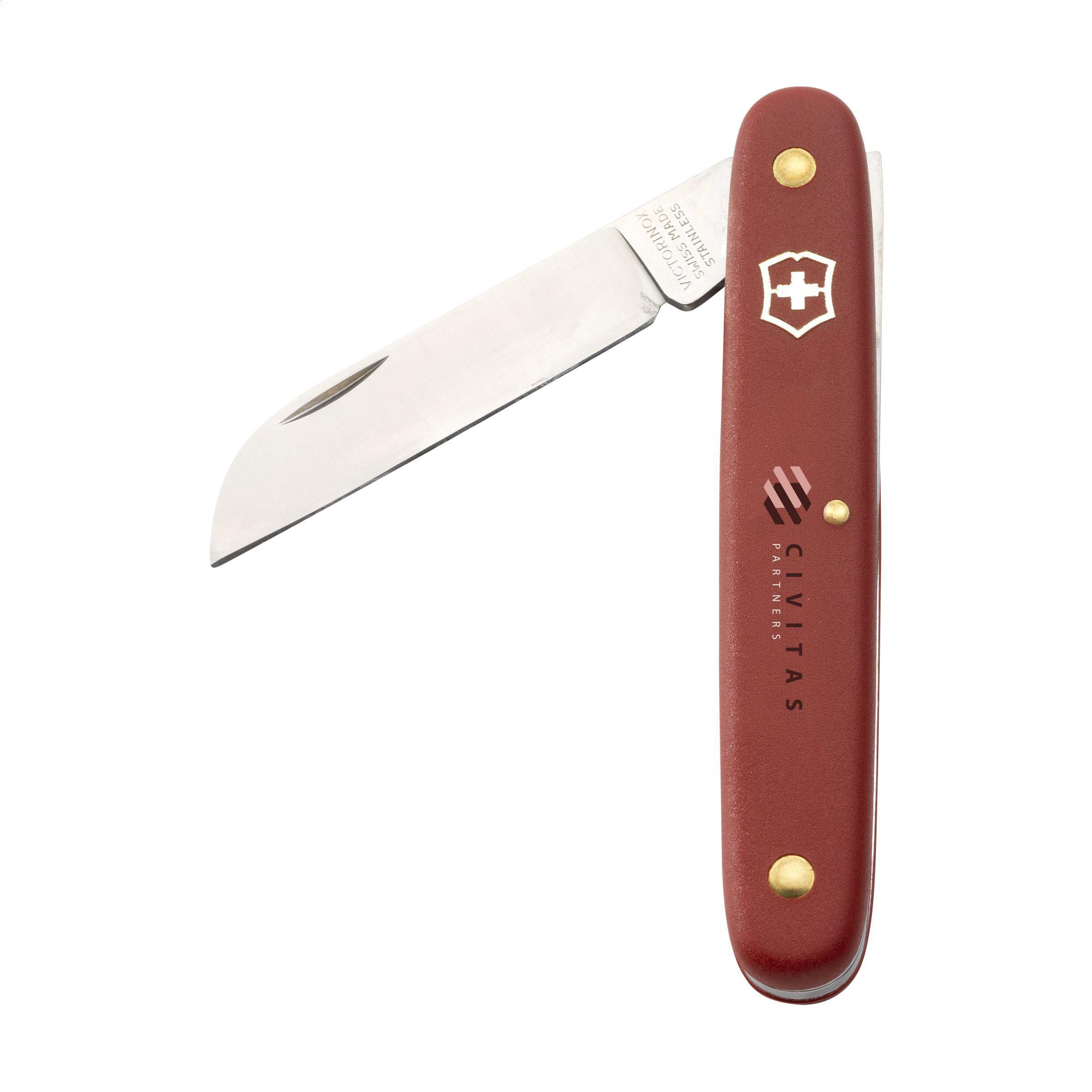 Victorinox Ecoline Flower Knife