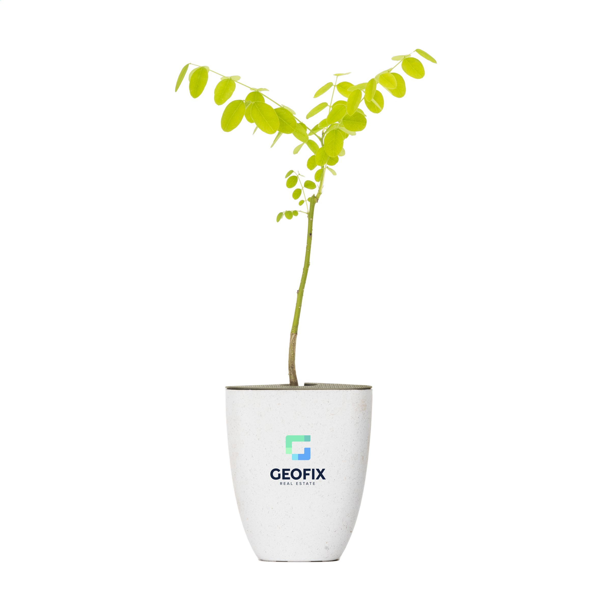 Honey Tree Mailbox Delight - Skipton